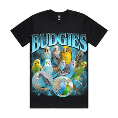 Budgies
