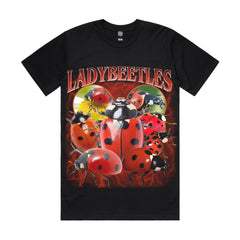 Ladybeetles