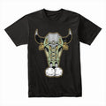 Raging Sole: The Sneaker Bull Reign