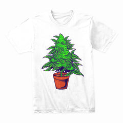 Cannabis Plant Shirt