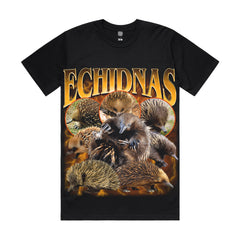 Echidna