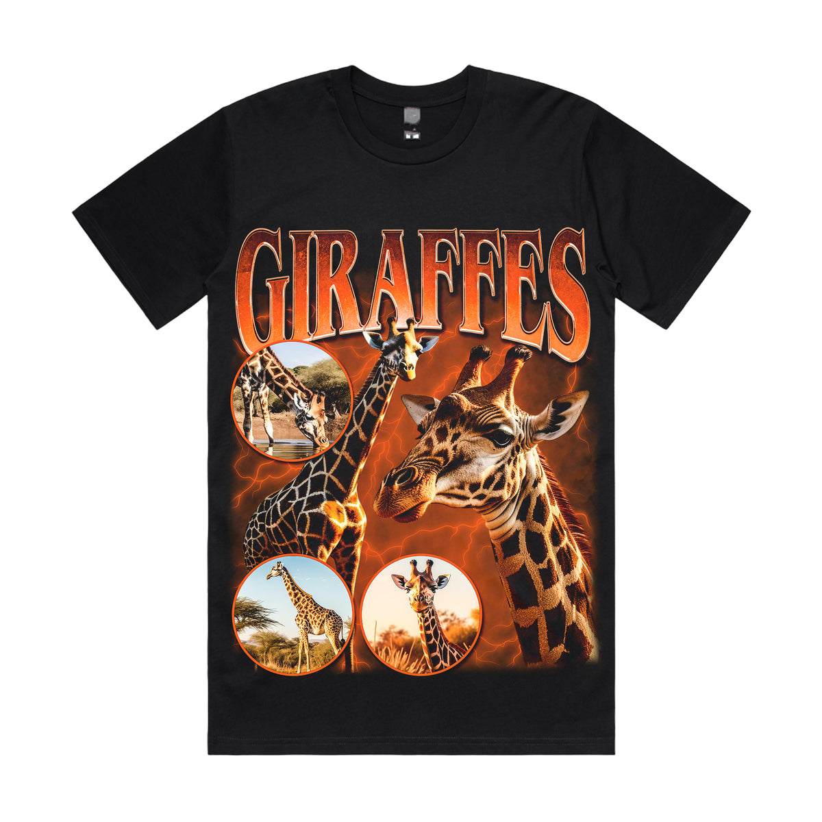Giraffes