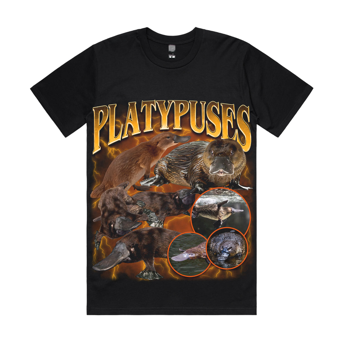 Platypus