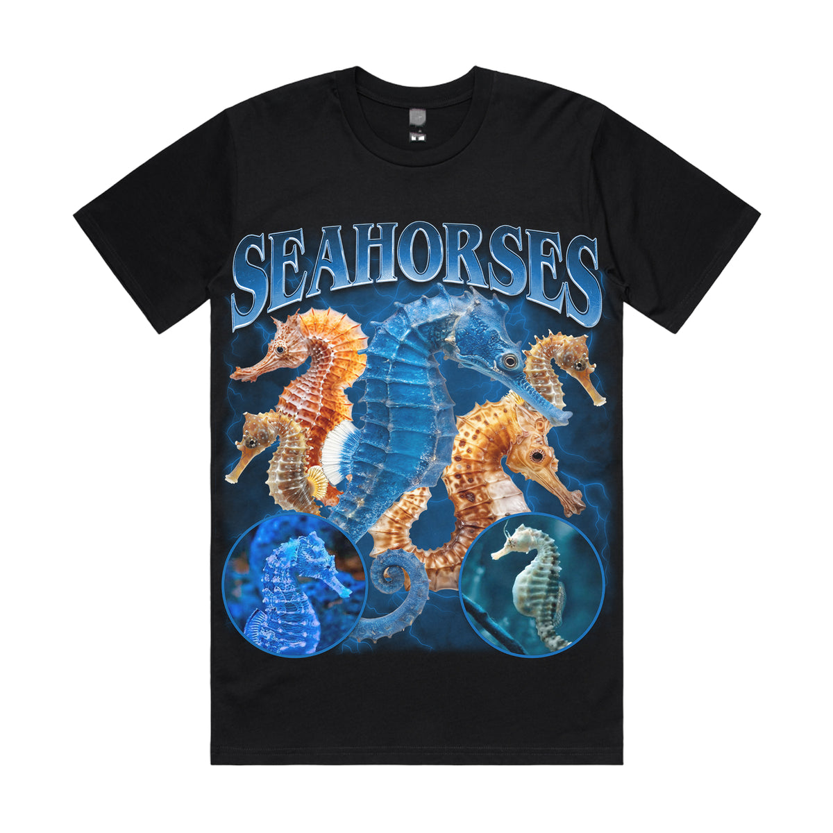Seahorses