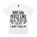 My Life Feels Like a Test I Didn’t Study For